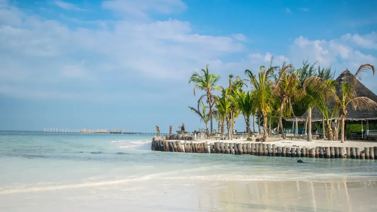 Piękna plaża z palmami i drewnianym molo. Zastanawiasz się, ile się leci na Zanzibar? To raj na ziemi!