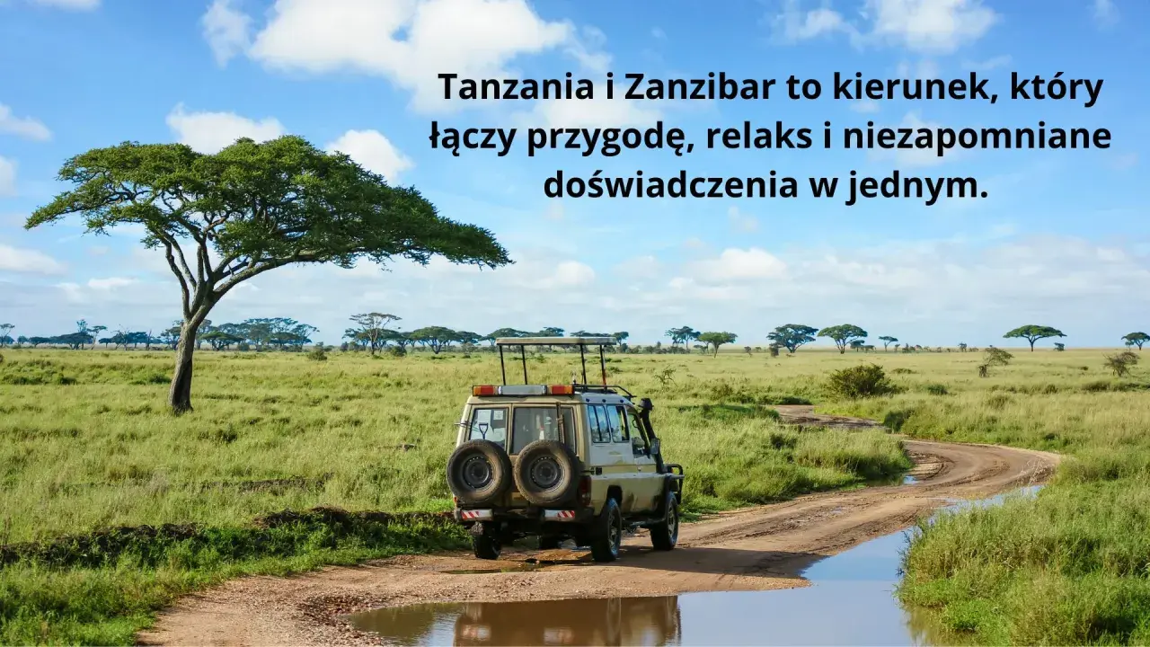 Samochód terenowy na drodze w afrykańskiej sawannie, z akacjami w tle.