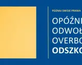 Opóźniony lot na wycieczce? Kto płaci: biuro podróży czy linia?
