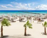Piękna plaża z palmami, leżakami i wielbłądem. Idealne miejsce na wakacje, zgodnie z protels crystal beach resort opinie.