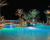 Nocny basen z palmami i mostkiem, idealne miejsce na relaks. Wiele pozytywnych fiesta beach djerba opinie potwierdza jego urok.