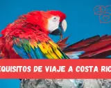 Kolorowa ara na niebieskim tle, z napisem "REQUISITOS DE VIAJE A COSTA RICA".