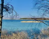 Turkusowe jezioro z trzcinami na pierwszym planie i drzewami w tle.