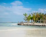 Piękna plaża z palmami i drewnianym molo. Zastanawiasz się, ile się leci na Zanzibar? To raj na ziemi!