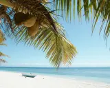 Palmy z kokosami nad białą plażą i turkusowym morzem. Marzysz o podróży? Sprawdź, ile się leci na Madagaskar!