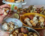 Jak przewieźć grzyby? Poradnik, by zachowały smak i świeżość!