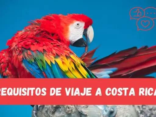 Kolorowa ara na niebieskim tle, z napisem "REQUISITOS DE VIAJE A COSTA RICA".