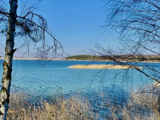 Turkusowe jezioro z trzcinami na pierwszym planie i drzewami w tle.