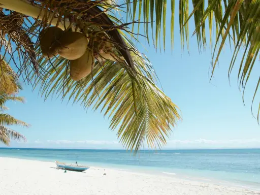 Palmy z kokosami nad białą plażą i turkusowym morzem. Marzysz o podróży? Sprawdź, ile się leci na Madagaskar!