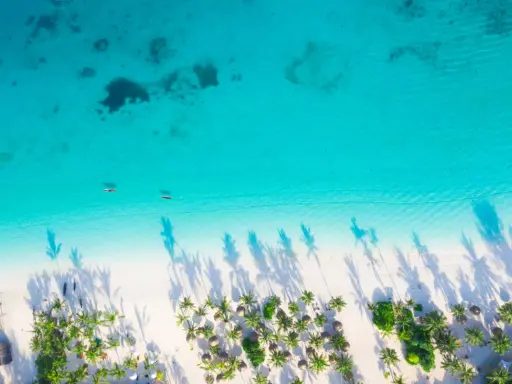 Lot na Zanzibar z Warszawy: Ile trwa? Od 9,5 do 20h!