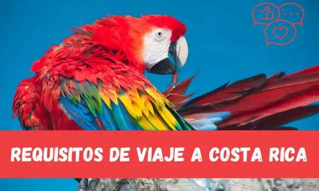 Kolorowa ara na niebieskim tle, z napisem "REQUISITOS DE VIAJE A COSTA RICA".