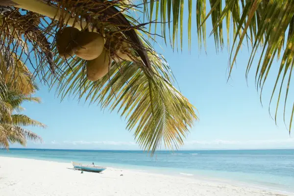 Palmy z kokosami nad białą plażą i turkusowym morzem. Marzysz o podróży? Sprawdź, ile się leci na Madagaskar!